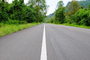 Mountain road with trees photo