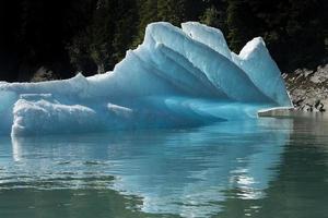 Iceberg Reflection Along Endicott Arm photo