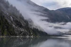 Fords Terror Morning Mists photo