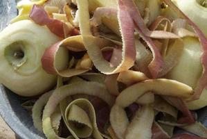 Apple Peelings at Gold Rush Reenactment photo