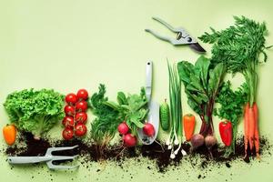 Organic vegetables and garden tools on green background