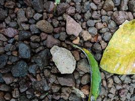 Top view, close up, portrait, selective focus texture of gravel and leaves for background necessity photo