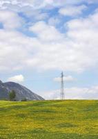 Eletrical pylon on dandelion field photo