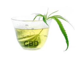 marijuana herbal tea with cbd and thc symbol photo