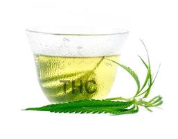 Té de hierbas de marihuana con cbd y símbolo de thc foto