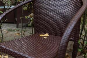 Yellow autumn leaves on a brown wicker chair on the terrace of a small cafe photo