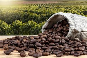 Granos de café tostados en bolsa de yute sobre la mesa de madera, con fondo de granja de campo de café en Brasil foto