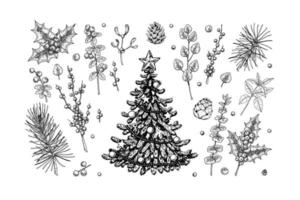 Set of hand drawn decorated Christmas tree, plant branches, cones and berries isolated on white background. Christmas decoration elements. Vector illustration