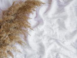 Flatlay of pampas grass on pink textile background photo