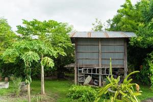 Rice barn for storage and drying of harvested rice in backyard area. photo