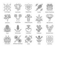 Desert plants linear icons set. Exotic flora. California desert cacti, grass, trees. American and Mexican succulents. Thin line contour symbols. Isolated vector outline illustrations. Editable stroke