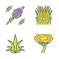Desert plants color icons set. Exotic flora. Ocotillo, Mexican thread grass, aloe vera, palo verde tree. Isolated vector illustrations