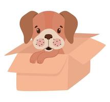 pup in a box vector