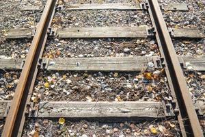 Antiguas vías de tren abandonadas cubiertas con hojas de otoño. foto