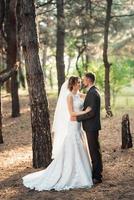 walk of the bride and groom through the autumn forest photo