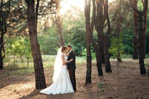 walk of the bride and groom through the autumn forest photo