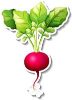 Radish sticker on white background vector