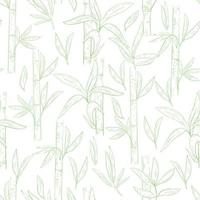 Green bamboo seamless pattern on a white background vector