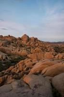 Joshua Tree National Park photo