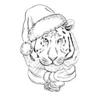 Hand - drawn portrait of a New Year tiger in a scarf and a santa claus hat. Vector illustration. Vintage line sketch. Christmas illustration.