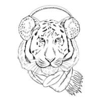 Hand - drawn portrait of a New Year tiger in a scarf and fur headphones. Vector illustration. Vintage line sketch. Christmas illustration.