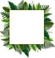 marco cuadrado con hojas verdes tropicales vector