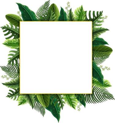 Square frame with tropical green leaves