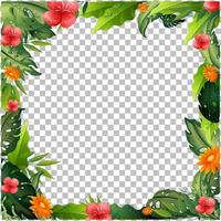 Nature plants frame grid background vector