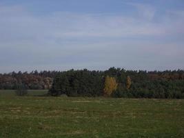panorama de un campo de finales de otoño foto