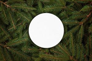 Blank white circle-shaped paper on christmas tree branches photo