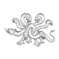 Herensuge a Mythical Dragon in Basque Mythology with Seven Heads in the Form of a Serpent Drawing vector