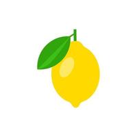 Lemon vector illustration isolated on white background