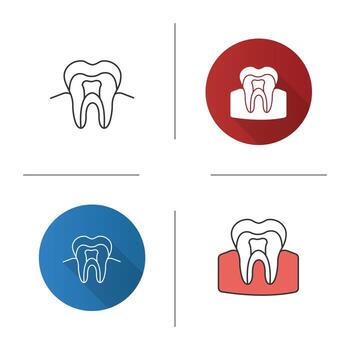 Tooth anatomical structure icon. Tooth root and crown. Dentin, enamel, pulp. Flat design, linear and color styles. Isolated vector illustrations