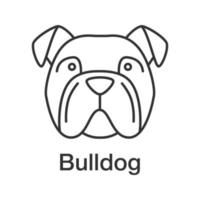 English Bulldog linear icon. Thin line illustration. Utility dog breed. Contour symbol. Vector isolated outline drawing