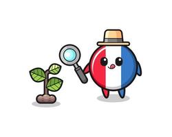 cute france flag herbalist researching a plants vector