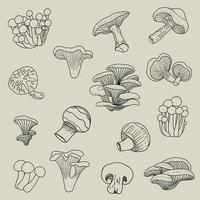 Doodle colección de dibujo de boceto a mano alzada de vegetales de hongos. vector