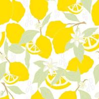 vector de patrones sin fisuras limones y limones en rodajas sobre un fondo. patrón de limón de verano para fondo, tela, papel, textil, invitaciones, páginas web.