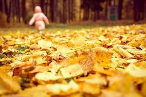 corriendo caminando niña niño en un parque de otoño foto