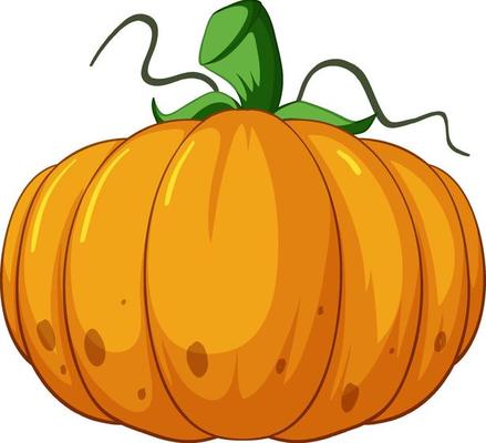 Orange pumpkin in cartoon style on white background