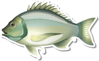 Black bream fish sticker on white background vector