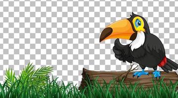 Toucan on the grass field on grid background vector