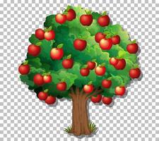 Apple tree on grid background vector