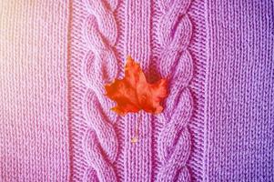 small bright red dry autumn maple leaf on purple knitted texture fabric or sweater with pigtails photo