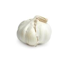 Garlic on white photo