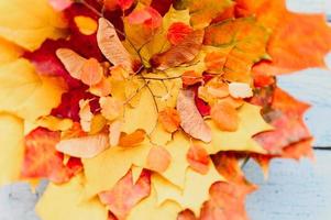 golden autumn fall leaves flat lay photo