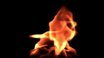 An Eternal Flame - Loop video