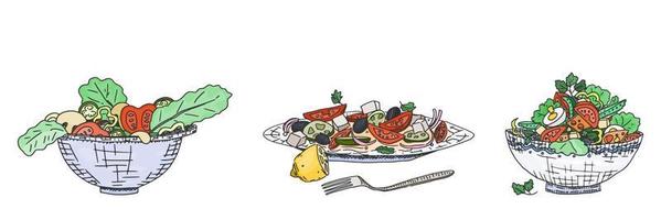 a large set of different salads of the world. new vector