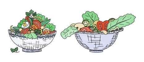 a selection of vegetarian and meat salads. doodle vector