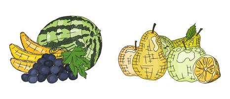 pears apples grapes and watermelon simple drawings vector