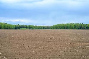 rustic summer flat landscape photo